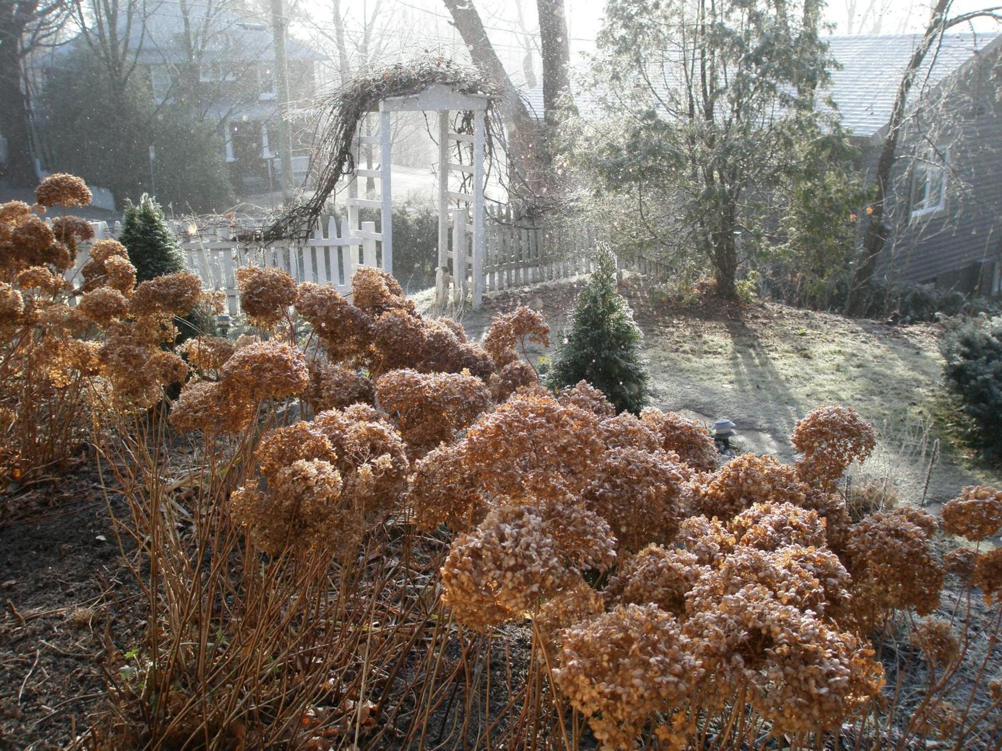 O Bois Dormant B&B Magog Bagian luar foto